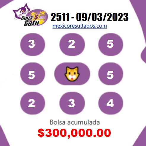 Gana Gato 2511