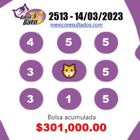 Gana Gato 2513