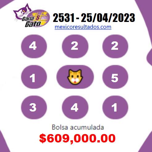 Gana Gato 2531