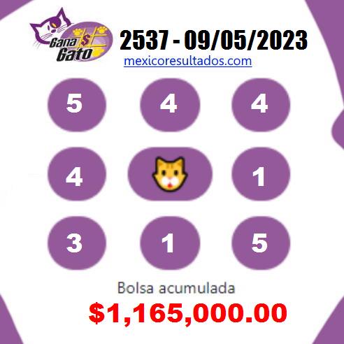 Gana Gato 2537