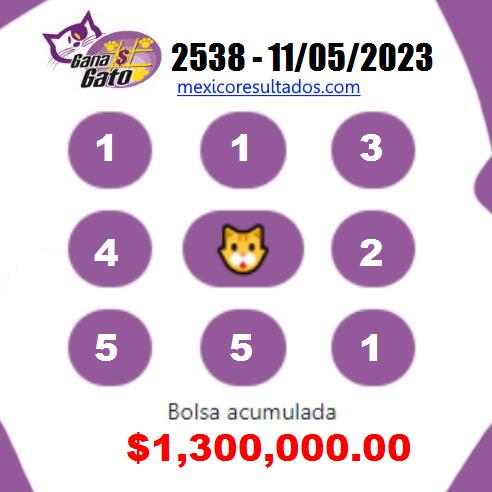 Gana Gato 2538