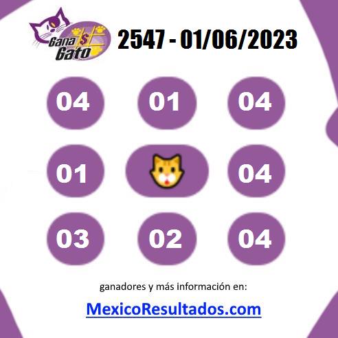 Gana Gato 2547
