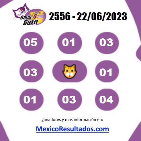 Gana Gato 2556