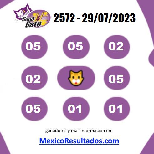 Gana Gato 2572