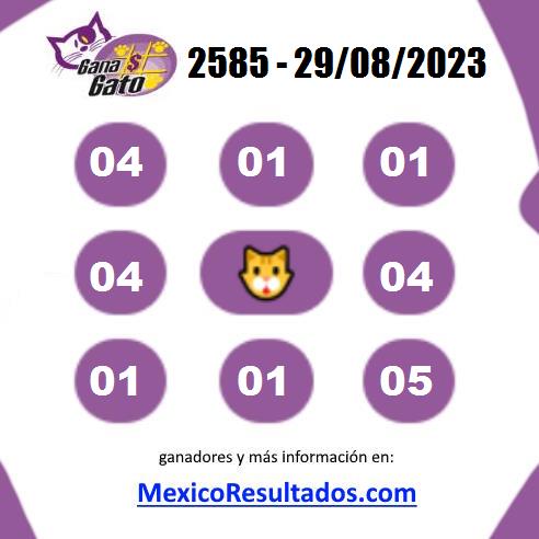Gana Gato Sorteo 2585 Gana Gato 2585