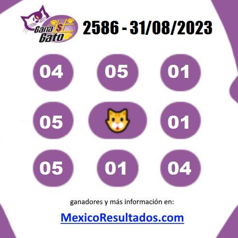 Gana Gato Sorteo 2586 Gana Gato 2586
