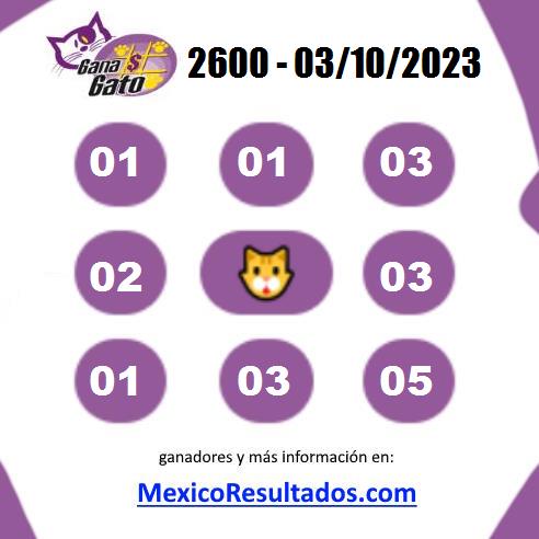 Gana Gato Sorteo 2600 Gana Gato 2600