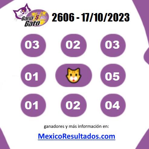 Gana Gato 2606