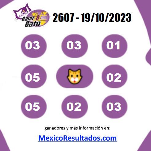 Gana Gato Sorteo 2607 Gana Gato 2607