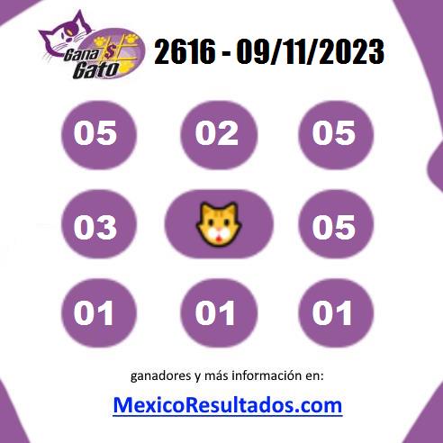 Gana Gato 2616