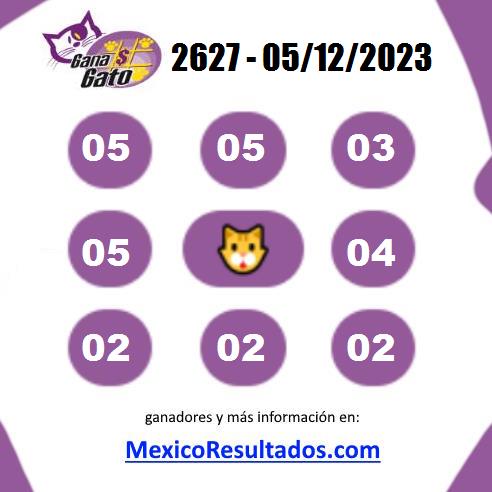 Gana Gato 2627