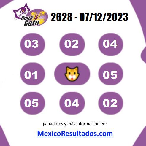 Gana Gato 2628