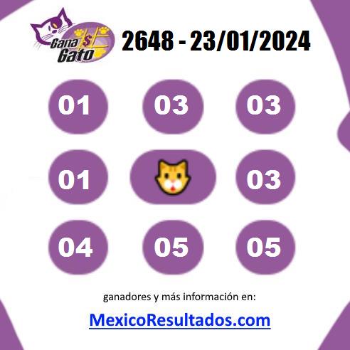 Gana Gato 2648