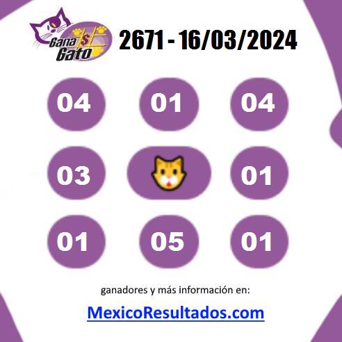 Gana Gato Sorteo 2671 Gana Gato 2671