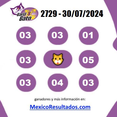 Gana Gato 2729