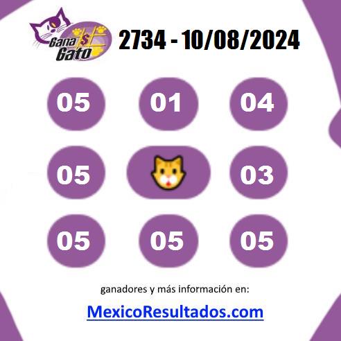 Gana Gato 2734