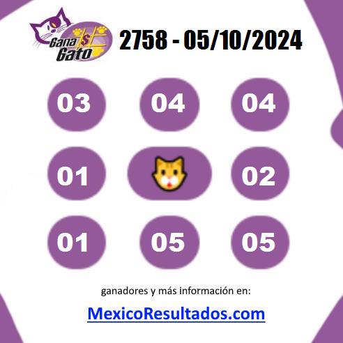 Gana Gato 2758