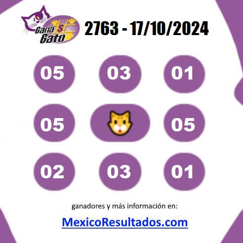 Gana Gato 2763