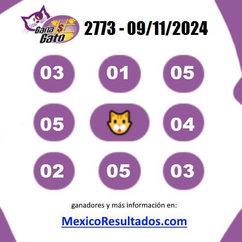 Gana Gato 2773