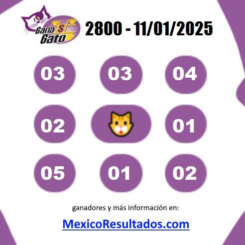 Gana Gato 2800
