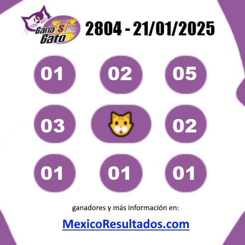 Gana Gato Sorteo 2804 Gana Gato 2804
