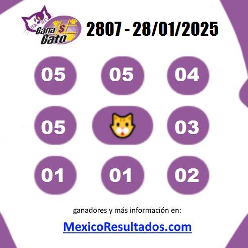 Gana Gato 2807