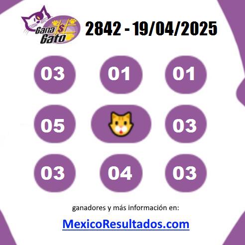 Gana Gato Sorteo 2842 Gana Gato 2842
