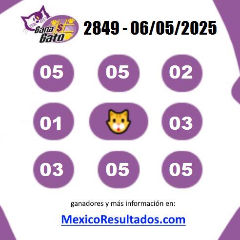 Gana Gato Sorteo 2849 Gana Gato 2849