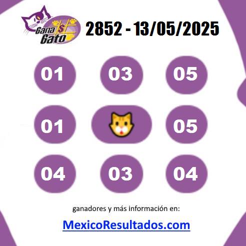 Gana Gato Sorteo 2852 Gana Gato 2852