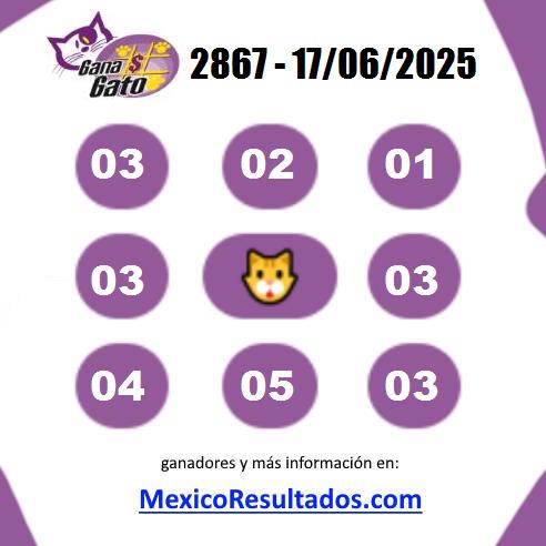 Gana Gato 2867