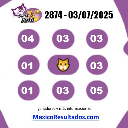 Gana Gato 2874