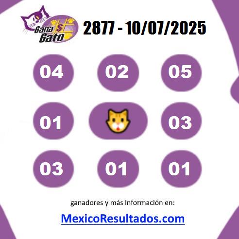 Gana Gato 2877