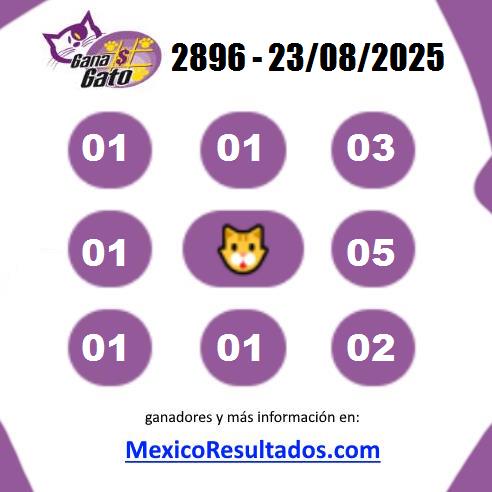 Gana Gato 2896