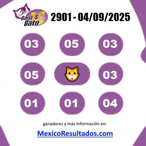 Gana Gato 2901