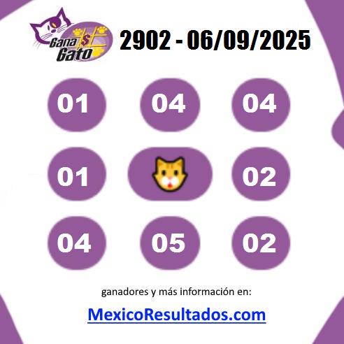 Gana Gato 2902