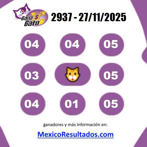 Gana Gato 2937