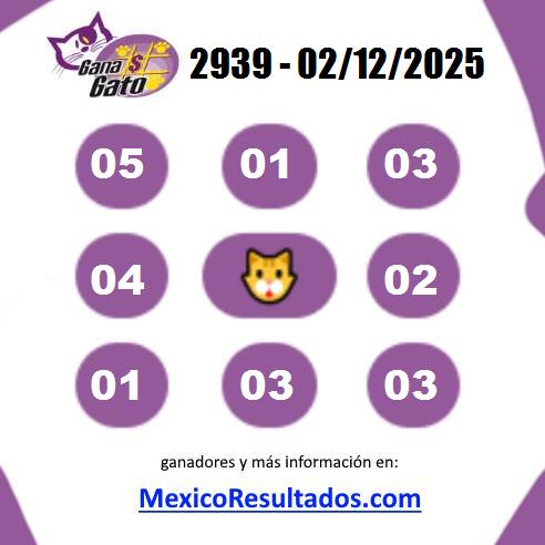 Gana Gato 2939