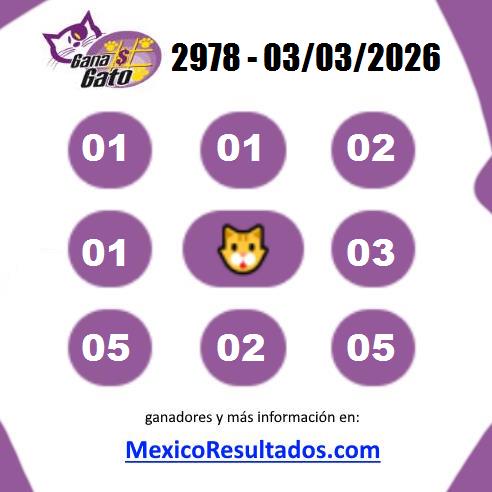 Gana Gato 2978