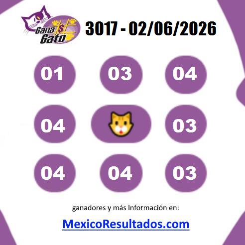 Gana Gato 3017