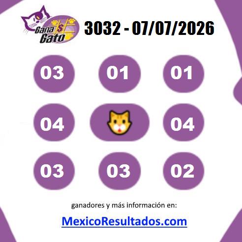 Gana Gato 3032