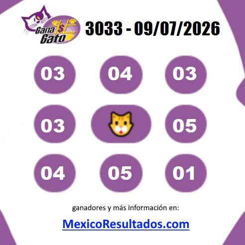 Gana Gato 3033