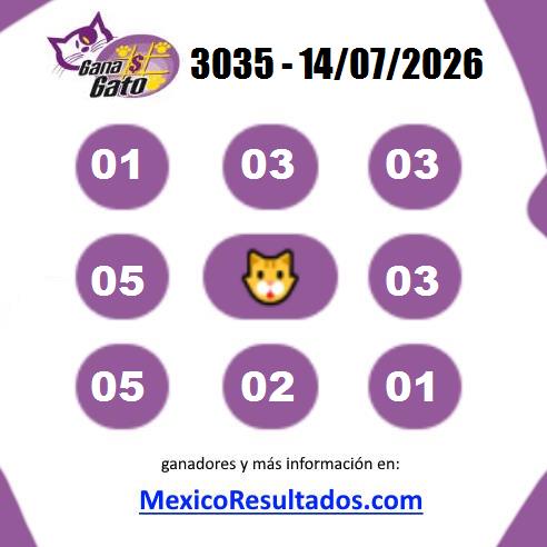 Gana Gato 3035