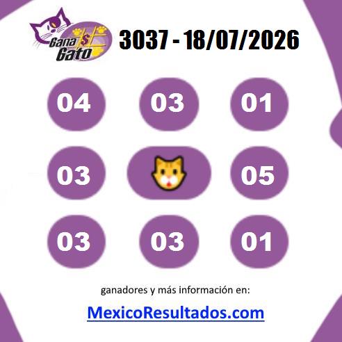 Gana Gato 3037