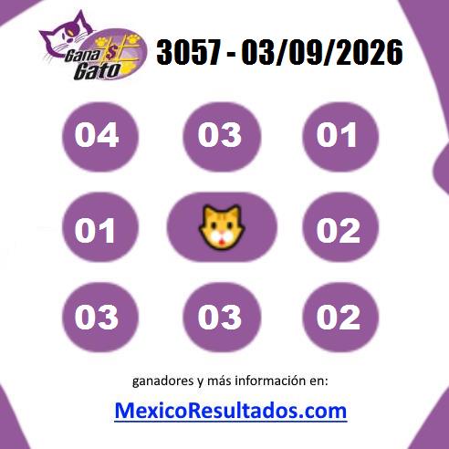 Gana Gato 3057